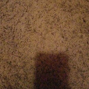 Meet your Posher, Alfonso